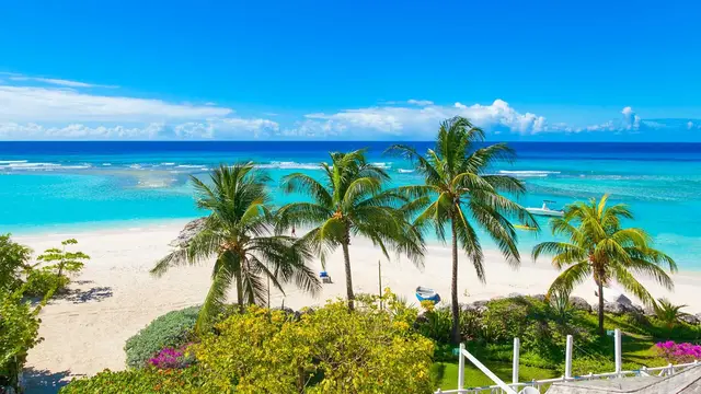Dominikana, Barbados, Martynika, Gwadelupa i Brytyjskie Wyspy Dziewicze z La Romana - MSC Opera
