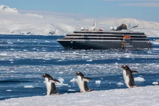 Antarctic Express: Rejs na Południe, Lot na Północ